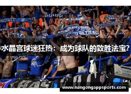 水晶宫球迷狂热：成为球队的致胜法宝？